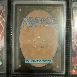 Wizards of the Coast MTG Arena of Glory Rare Regular Land 215 EN 2024 - Image 2
