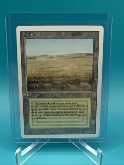 Savannah Revised Edition Regular - Image 3