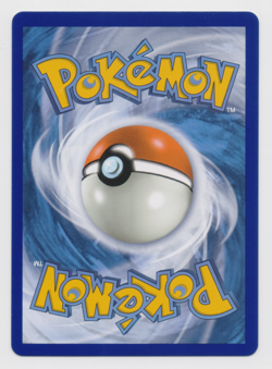 Hiker SV85/SV94 Hidden Fates Shiny Vault Full Art Trainer Pokemon Card - Image 2
