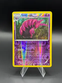 Scolipede 53/146 XY Base Set Reverse Holo Rare NM Pokemon TCG - Image 1