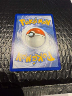 Flannery 215/198 - Chilling Reign Pokemon TCG Rainbow Secret Rare - Image 4