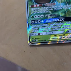Pokemon S-Chinese TAG TEAM GX Lot 22 Cards Sun&Moon US Seller Charizard Venusaur - Image 4