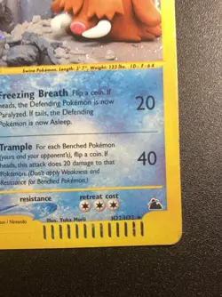 Pokemon Card-Piloswine-H22/H32-Holo-NoCrystal-Skyridge-ENG-LP - Image 5
