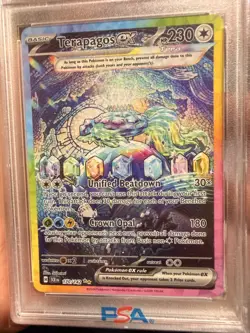 Pokemon TCG Terapagos ex 170/142 Stellar Crown SIR Holo ENG PSA 10 - Image 3