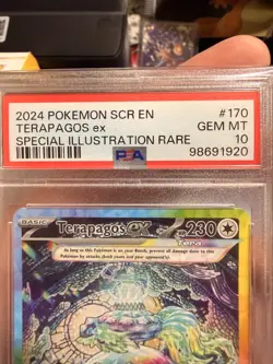 Pokemon TCG Terapagos ex 170/142 Stellar Crown SIR Holo ENG PSA 10 - Image 4