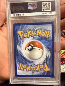 Pokemon TCG Terapagos ex 170/142 Stellar Crown SIR Holo ENG PSA 10 - Image 5