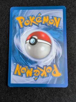 Pokemon - EX Trainer Kit Blue - Plusle and Minun Arcanine 1/12 - Image 2