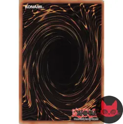 Yugioh Destiny HERO - Double Dude POTD-EN012 Super Rare 1st Edition LP - Image 2