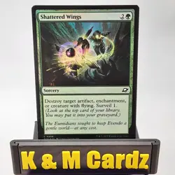 MTG - Edge of Eternities - Shattered Wings - Foil - #206 - NM - Image 1