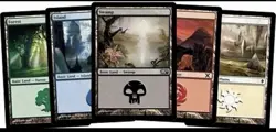 500 Basic Lands MTG - 100 of Each Color! Magic The Gathering Bulk Lot Set Mana - Image 1