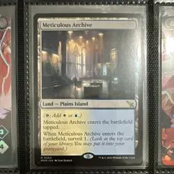 Wizards of the Coast MTG Meticulous Archive MKM Rare Regular Land 264 EN 2024 - Image 1