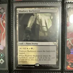 Wizards of the Coast MTG Shadowy Backstreet MKM Rare Regular Land 268 EN 2024 - Image 1