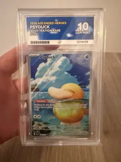 Pokemon - Psyduck 226/217 IR ACE 10 Gem Mint - Ascended Heroes - Image 1