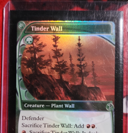 Tinder Wall Magic: The Gathering Foil Creature Card Green English - Image 1