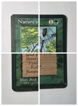 Nature's Lore - Ice Age 1995 - MTG Uncommon LP Free Ship - Image 3