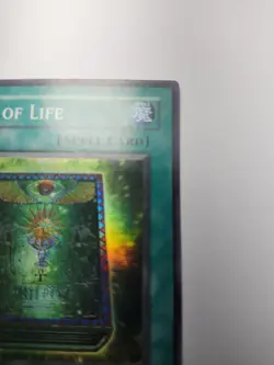 Book of Life PGD-033 Super Rare 1st Edition Yugioh NM - Image 4