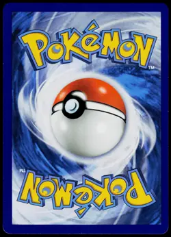 Venusaur EX XY28 XY Promo - Holo Pokemon NM/M (Promo) - Image 2