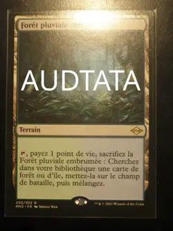 mtg magic misty rainforest FRENCH vf fr horizons 2 Foret pluviale embrumee - Image 1