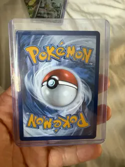 Pokemon TCG Zorua 075/064 Shrouded Fable Illustration Rare Near Mint Condition - Image 2