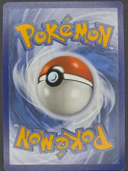 Zorua - 075/064 - IR - Shrouded Fable - NM/M - Pokemon TCG - Image 2