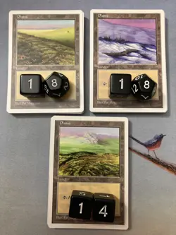 MTG Premodern 250 Basic Land Lot 5th Fifth Edition - Old Frame White Border - Image 2