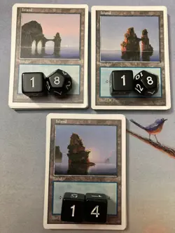 MTG Premodern 250 Basic Land Lot 5th Fifth Edition - Old Frame White Border - Image 3