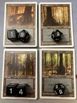 MTG Premodern 250 Basic Land Lot 5th Fifth Edition - Old Frame White Border - Image 4