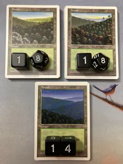MTG Premodern 250 Basic Land Lot 5th Fifth Edition - Old Frame White Border - Image 5