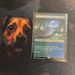 Mtg Dreamroot Cascade Borderless - Innistrad: Crimson Vow + Bonus Foils - Image 1