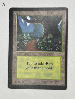MTG Magic the Gathering Limited Edition Beta Forest MP - NM - Image 1