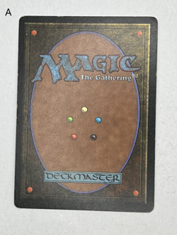 MTG Magic the Gathering Limited Edition Beta Forest MP - NM - Image 2