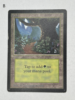 MTG Magic the Gathering Limited Edition Beta Forest MP - NM - Image 3