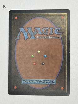 MTG Magic the Gathering Limited Edition Beta Forest MP - NM - Image 4
