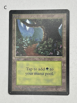 MTG Magic the Gathering Limited Edition Beta Forest MP - NM - Image 5