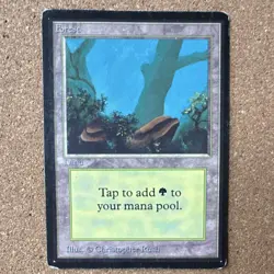 Forest (A), Limited Edition Beta, Magic the Gathering, Christopher Rush - Image 1