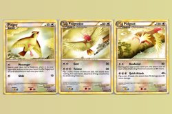 Pidgey Pidgeotto Pidgeot, Evolution Line 3 Card Set 2010 Triumphant Pokemon - Image 1