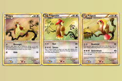 Pidgey Pidgeotto Pidgeot, Evolution Line 3 Card Set 2011 Call of Legends Pokemon - Image 1