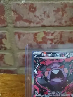 Morpeko Ex SIR 117/084 Pokemon Pitch Black - Pack Fresh NM-M - Image 3