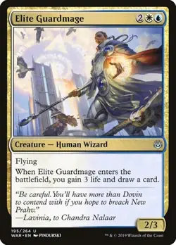 1x Elite Guardmage NM Eng MTG - War of the Spark - Image 1