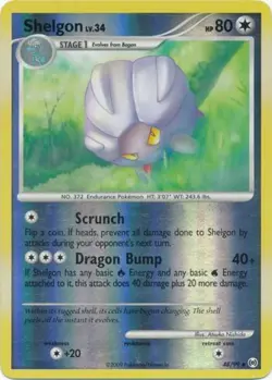 Pokemon - Shelgon - 48/99 - Uncommon - Reverse Holo - Arceus - NM - Image 1