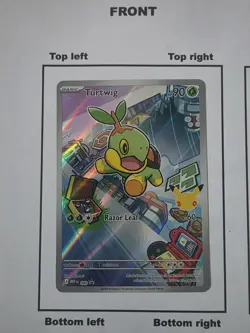 Pokemon TCG First Partner Illustration Gen 1 Sinnoh Starters Set Mint/Near Mint - Image 4