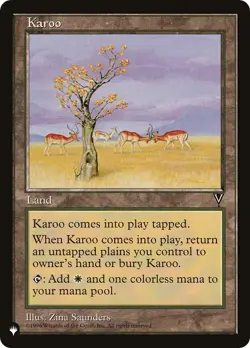 NM - Karoo (VIS) [LIST - ] The List Reprints - Image 1