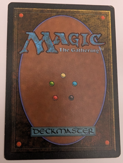Adarkar Wastes 1995 Wizards Of The Coast Mike Raabe '98 Signed Ice Age Card - Image 2