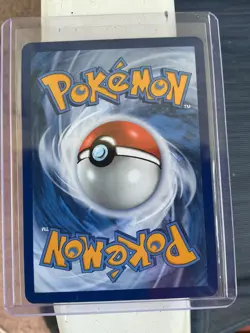 2024 Pokemon Stellar Crown Dachsbun SIR #169 NM/Mint or Better Pack Fresh - Image 4