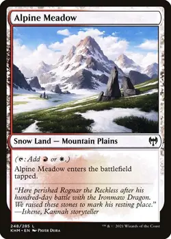 Alpine Meadow 1x MtG Kaldheim SP/NM - Image 1