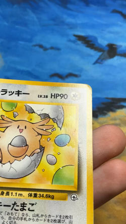 Pokemon Card Gym Challenge _'s Chansey NO. 113 Japanese #3431 - Image 2