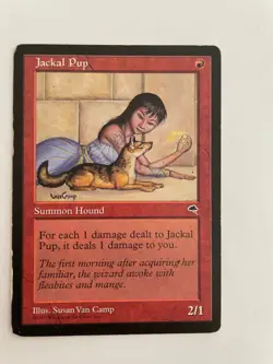 MtG Jackal Pup - MP - Tempest - Image 1