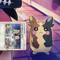 Pokemon Card | Professor Elm's Lecture 250/SM-P Holo Promo Japanese 2018 - Image 4