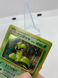 Victreebel No. 071 Jungle JPN Holo Foil w/SWIRL Pokemon Clean! #M *CCGHouse* RB - Image 5