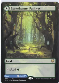 Barkchannel Pathway (Borderless) 290 Rare Kaldheim Magic: The Gathering NM - Image 1